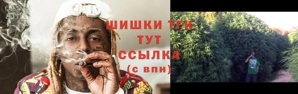 ПСИЛОЦИБИНОВЫЕ ГРИБЫ Аркадак