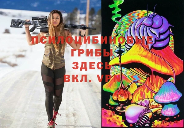ПСИЛОЦИБИНОВЫЕ ГРИБЫ Аркадак