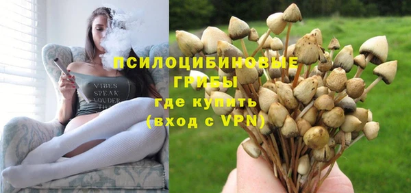 экстази Арсеньев