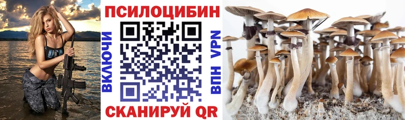 Купить  Сретенск  Псилоцибиновые грибы Psilocybine cubensis 